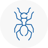 Ant Removals In Ormskirk