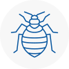 Bed Bug Extermination In Ormskirk