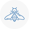 Bee Nest Removal Ormskirk