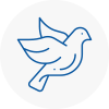 Bird Prevention Ormskirk