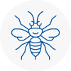 Ormskirk Hornet Nest Removals