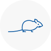 Mice Exterminators In Ormskirk
