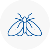 Moth Control Specialists In Ormskirk