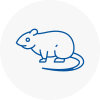 Rat Control Ormskirk
