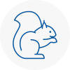 Ormskirk Rodent Removals